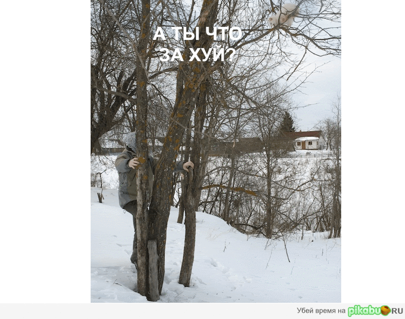 Жестокое нападение на котэ!!1
