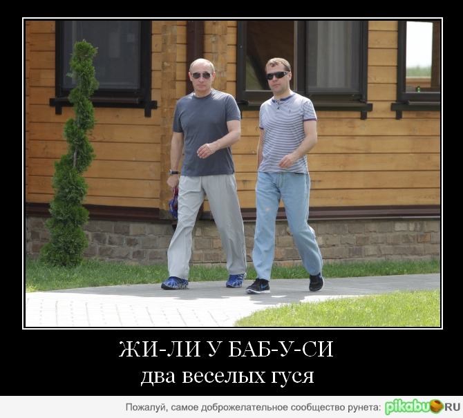 Один серый, другой белый... | Пикабу