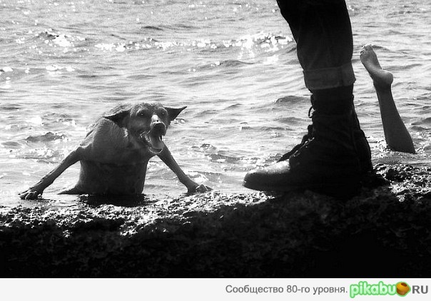 "Муму 2. Возвращение"))