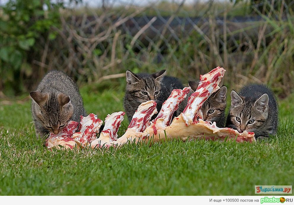 �-�-�-�! )) ���� ����� ����