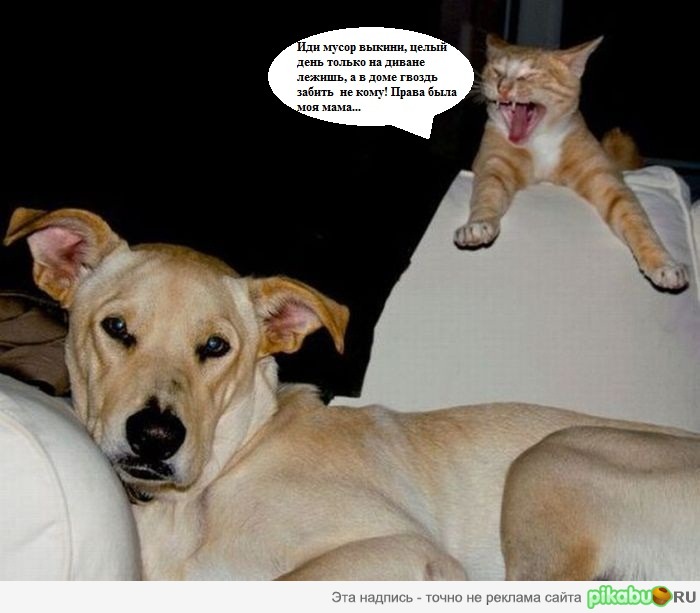 Про отношения...