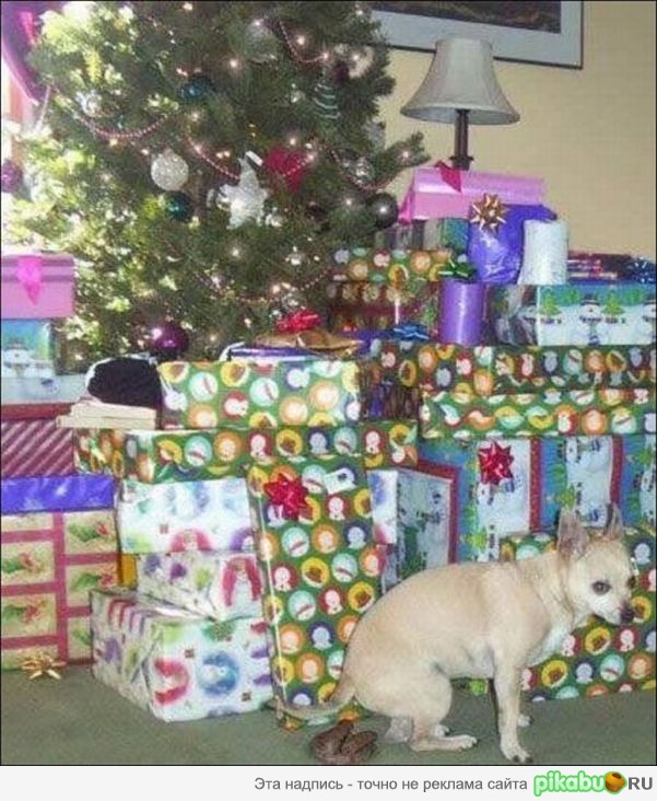 Мэрри Клизмас, блеать!!!