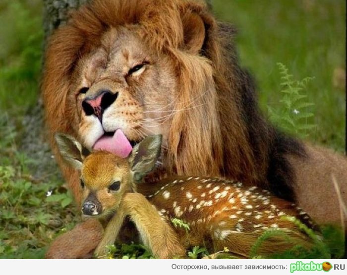 Тщательно моем продукты перед употреблением!