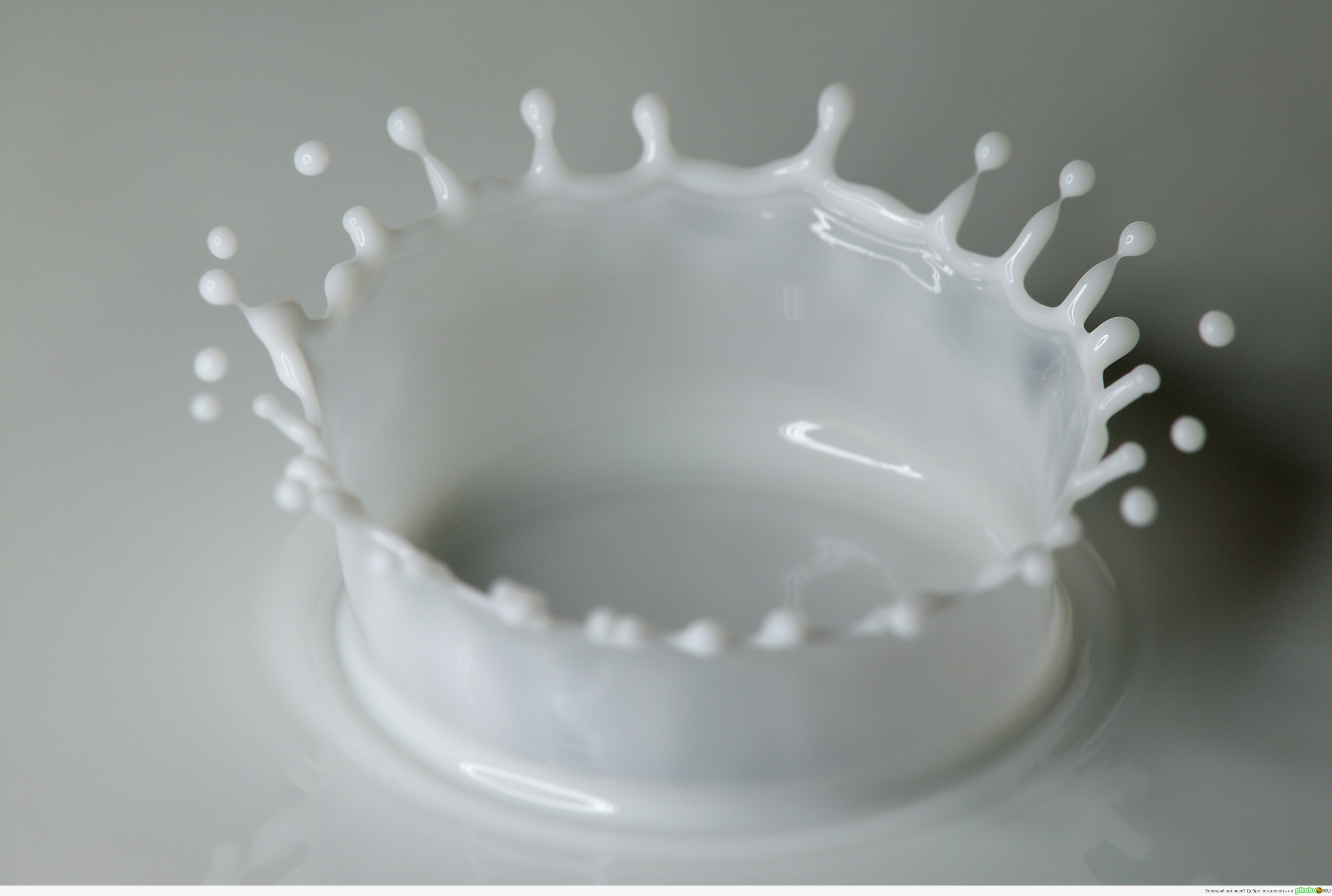 �������� ������