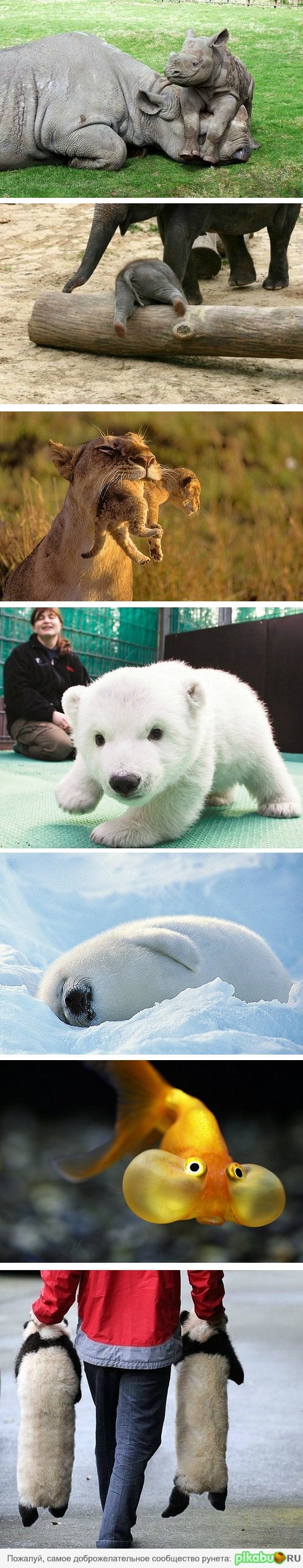 �������� ������... :)