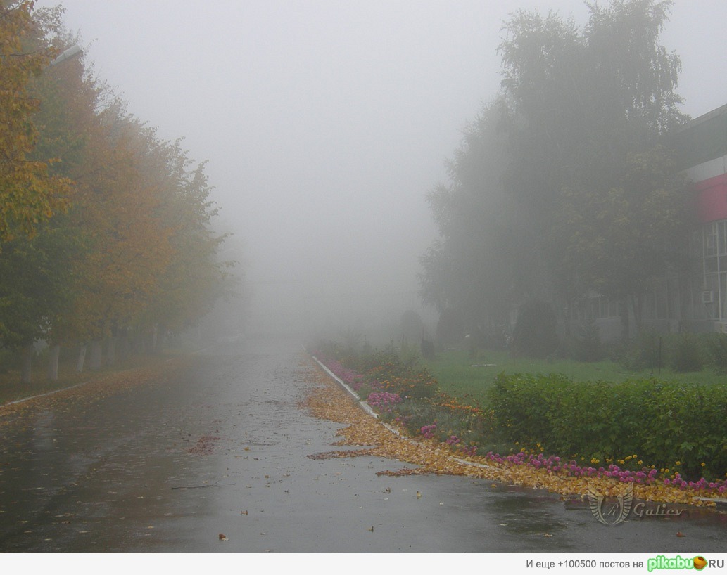 Устами ребенка "Туман"