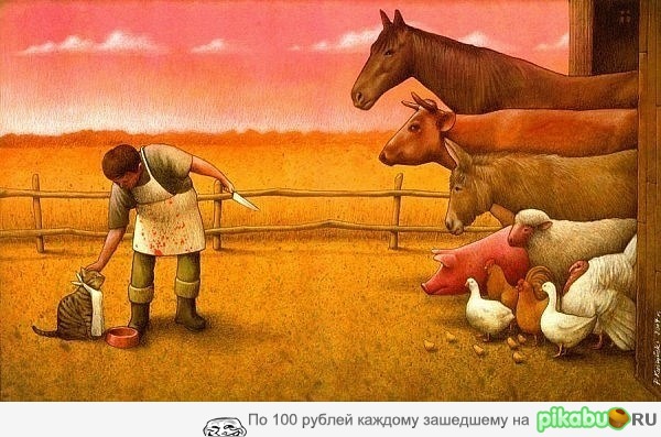 ���� ������?