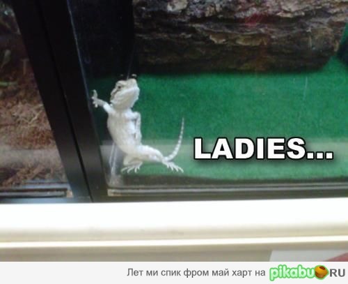 ����������.. ;)