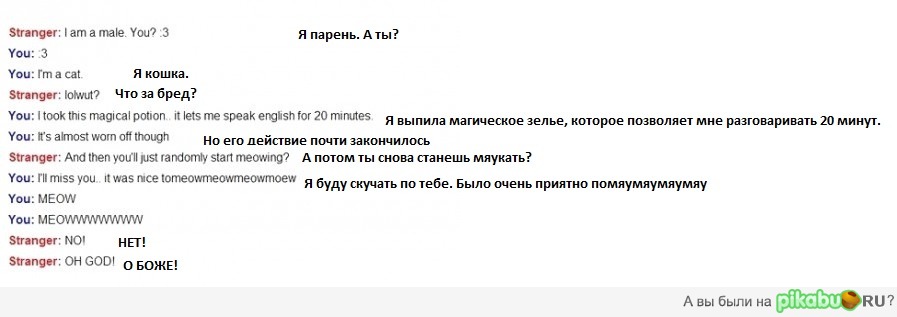 �������� �������