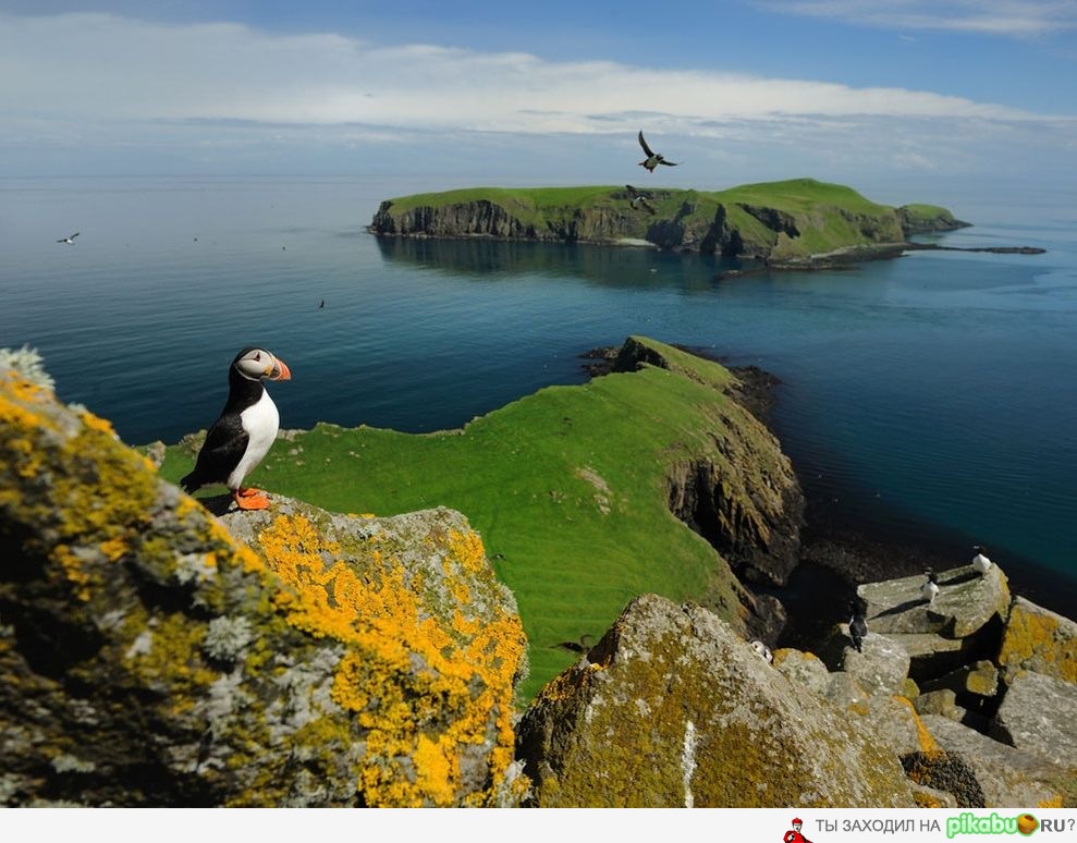 ,   (Shiant Islands), .