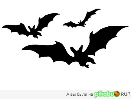 Помогайте, Пикабу :)