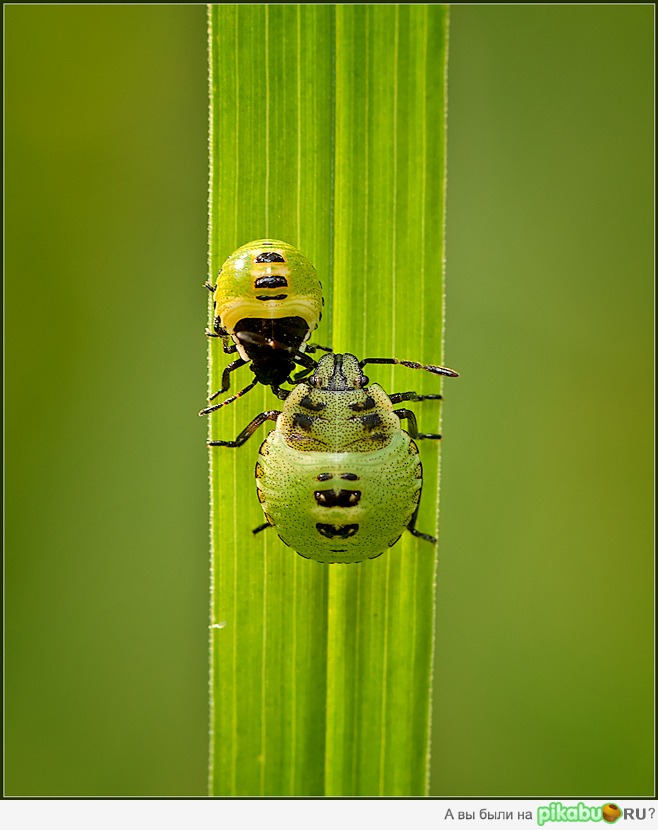 Выезд на встречку =) | Пикабу