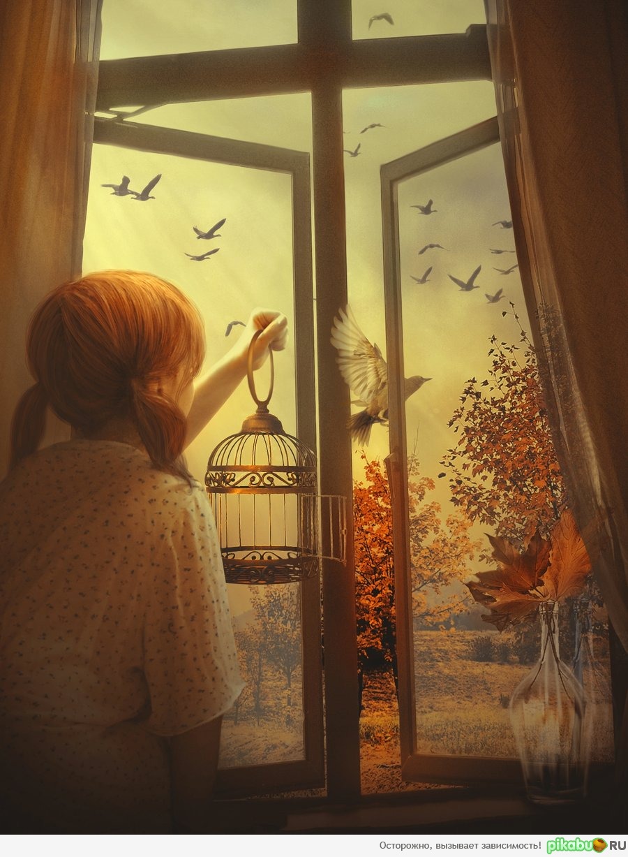 Лети | Пикабу