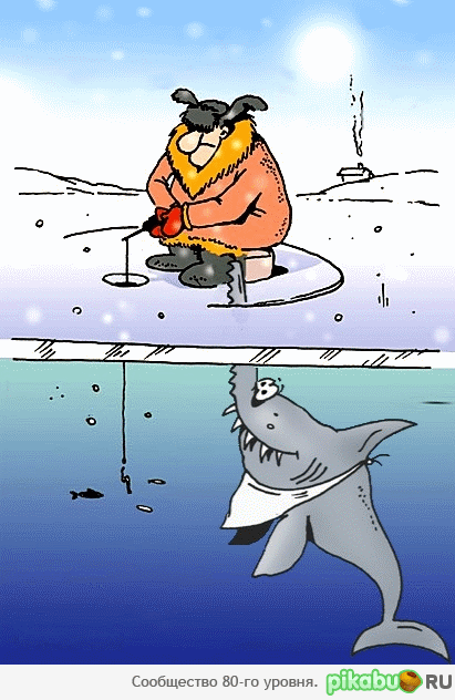 кому рыбалка, а кому охота...