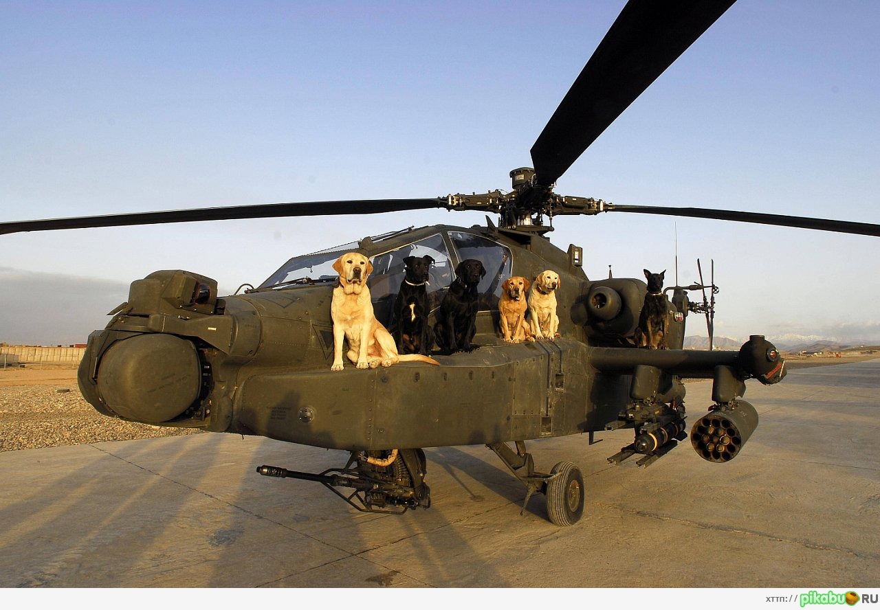 ������ �������� � ������ - 2