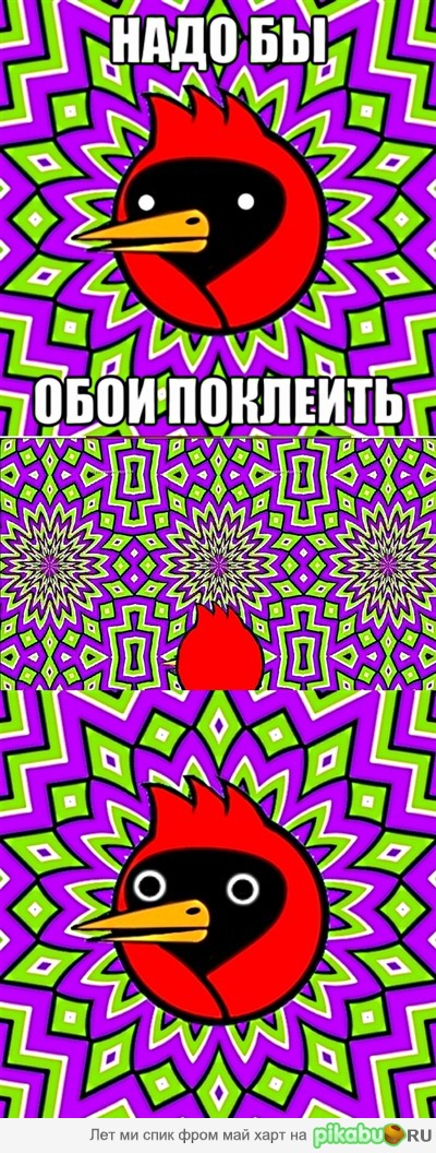 ������ ����