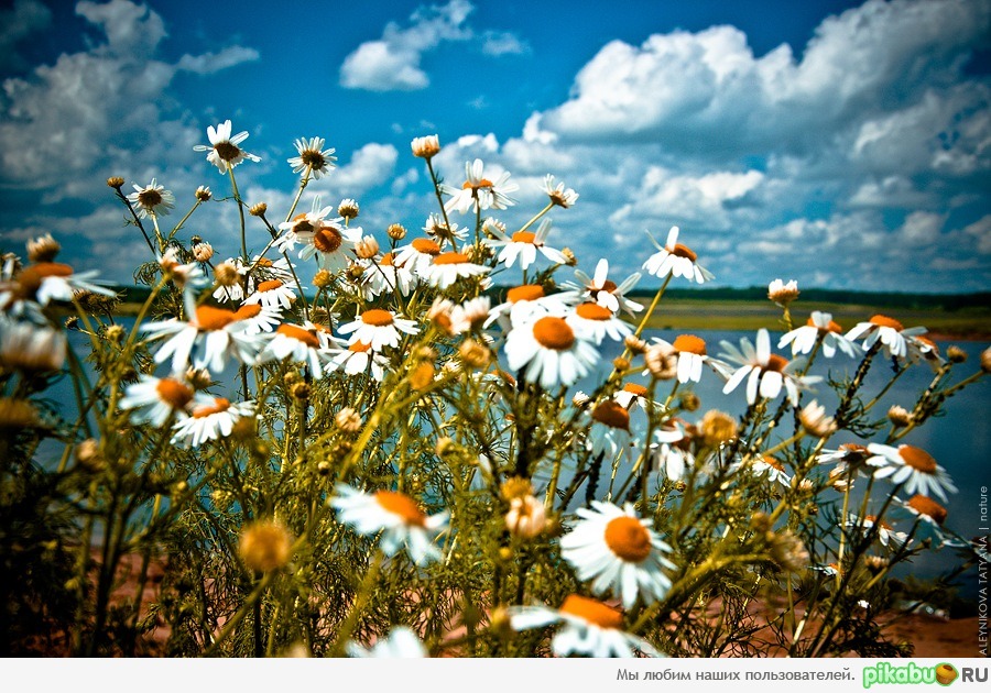 ������ ������� �������