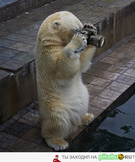 ����������)