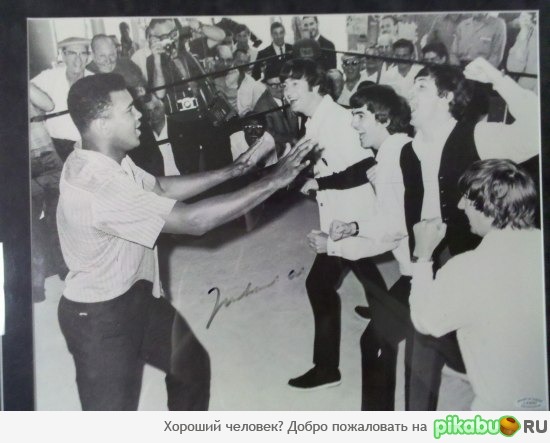 Кассиус Клей-Битлз | Пикабу