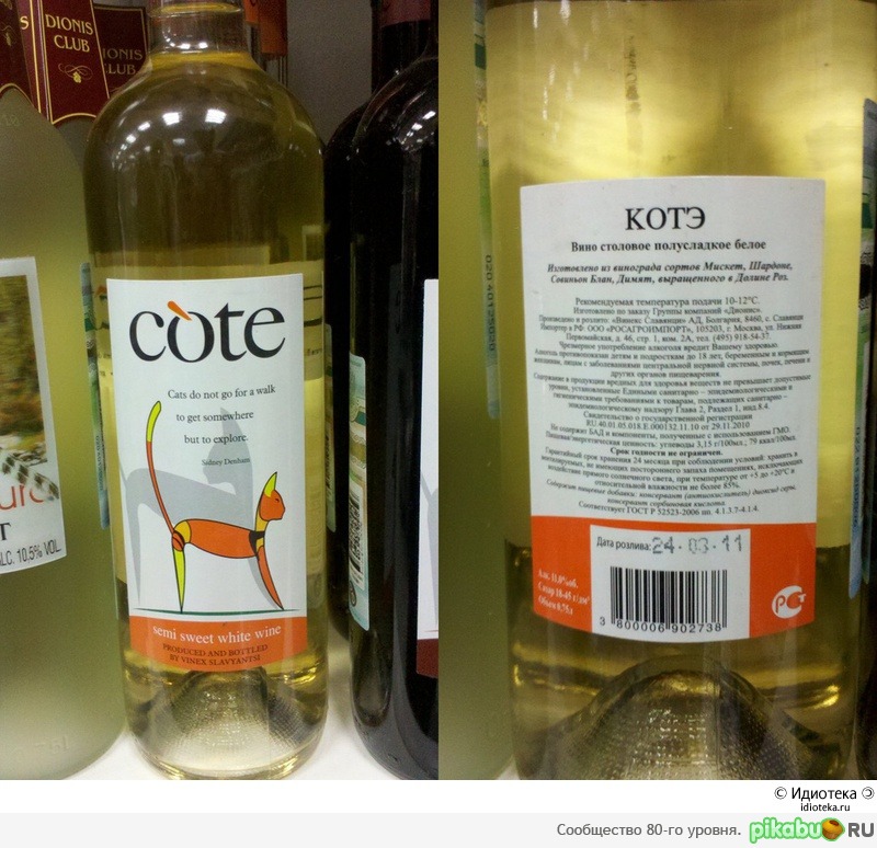 "����" =^.^=