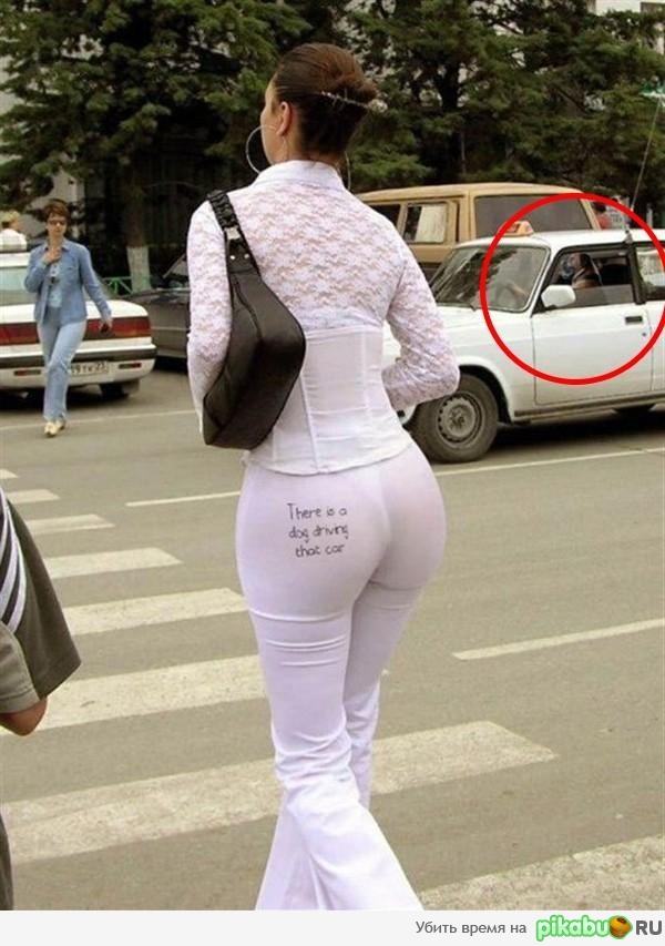 �� ������ ��� ?