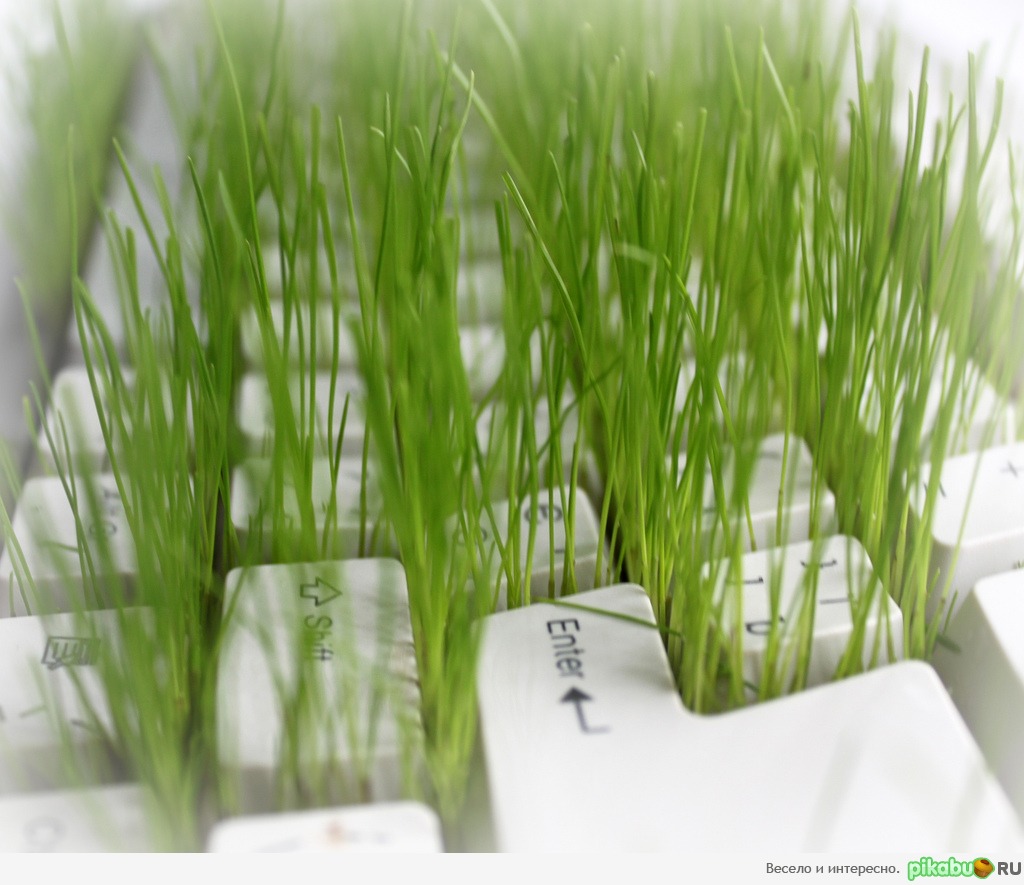 � �� ��������� ����������? :)