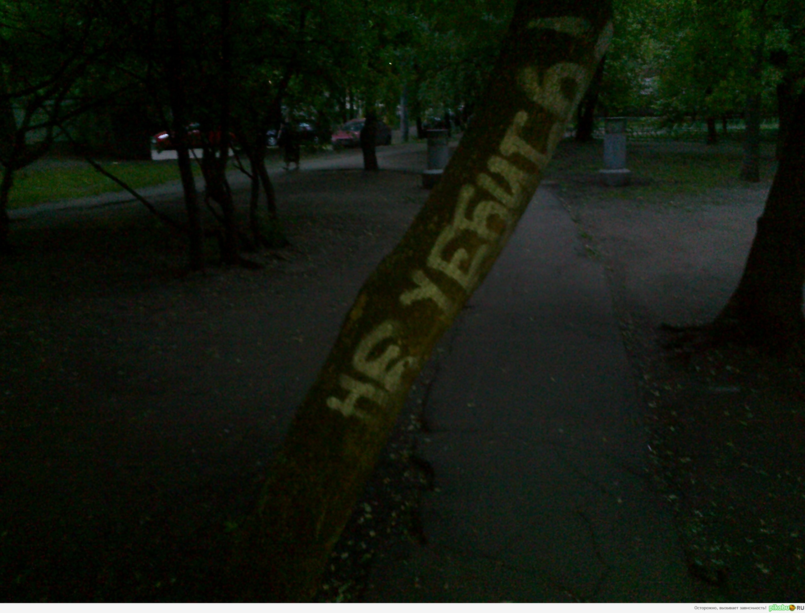 Заботливые люди бывают..