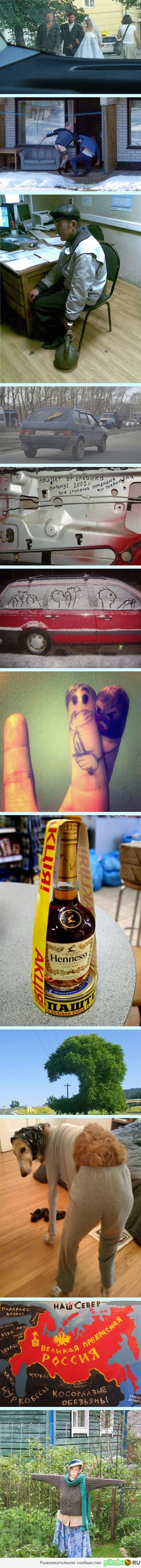 Не много юмора