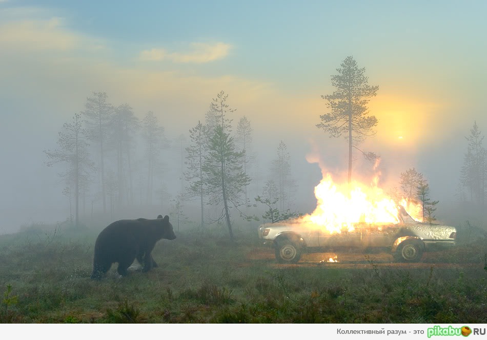 ���������, ��� �� ����������...