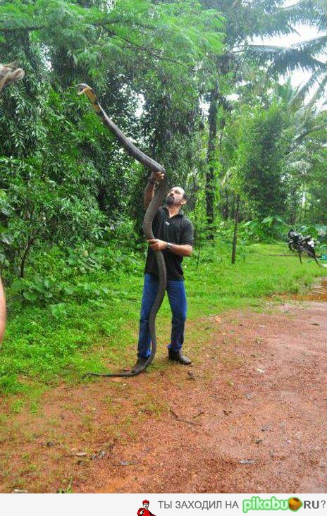 "... Чтоб завтра были змей Петров в летящем виде...." (с) Юрий Шевчук.