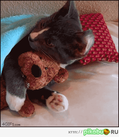 ��������� ����, ������ � ������� !