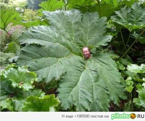 Пожалуйста, завернитесь )))