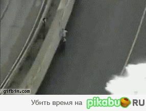 �������� �������� � �������������