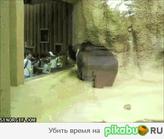 ������� ��������