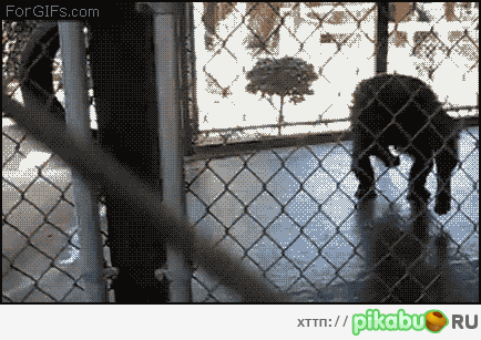 Что? Вы агитаторы из Единой России?