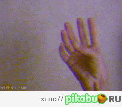 ����� �������