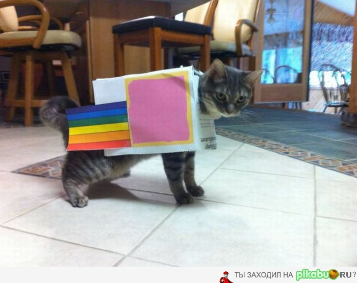     , Nyan cat...