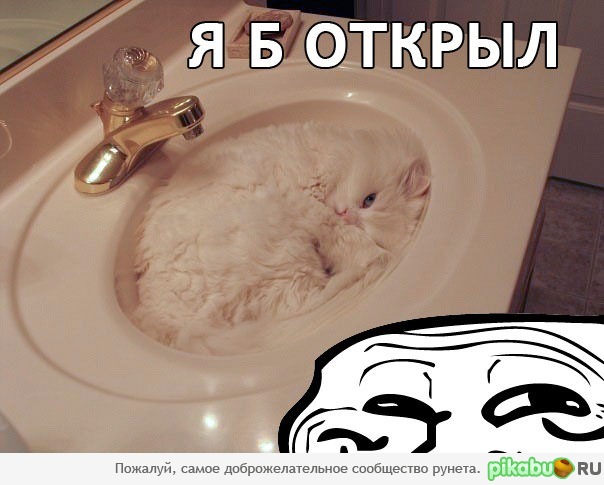 ��� ��� ����� �� ����� �������?