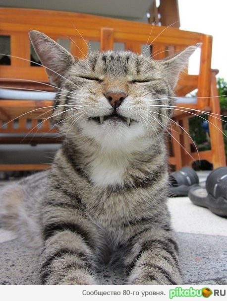 ��� ��� ����! � ������ ����!