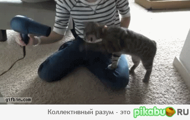  VS  fight