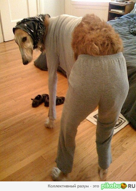 �� � ���� �� ��� ���������� ? +)