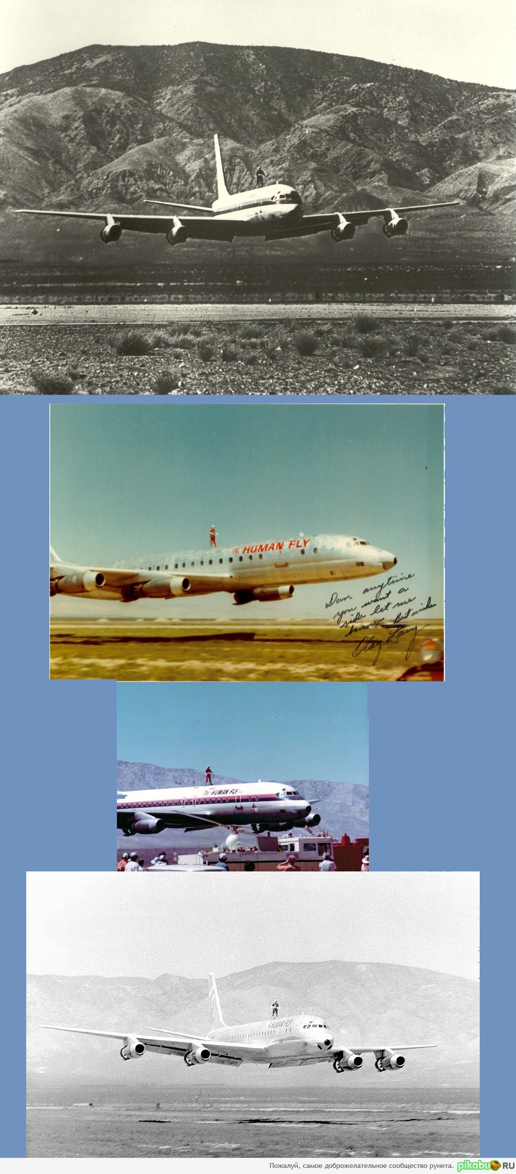 Стальные яйца