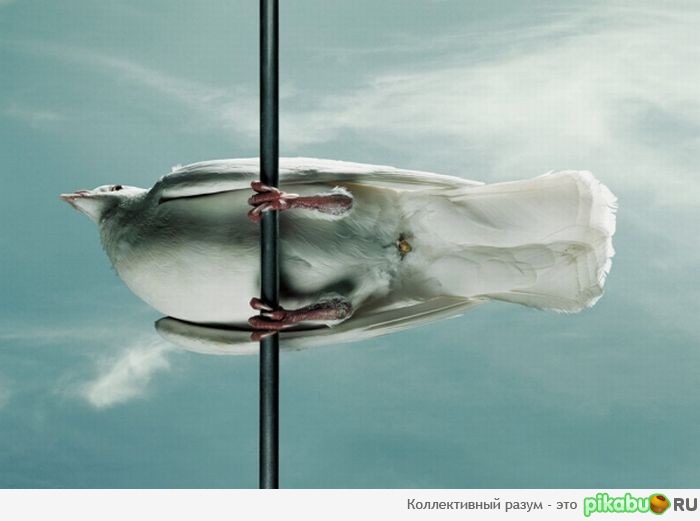 �������������� ��������������!