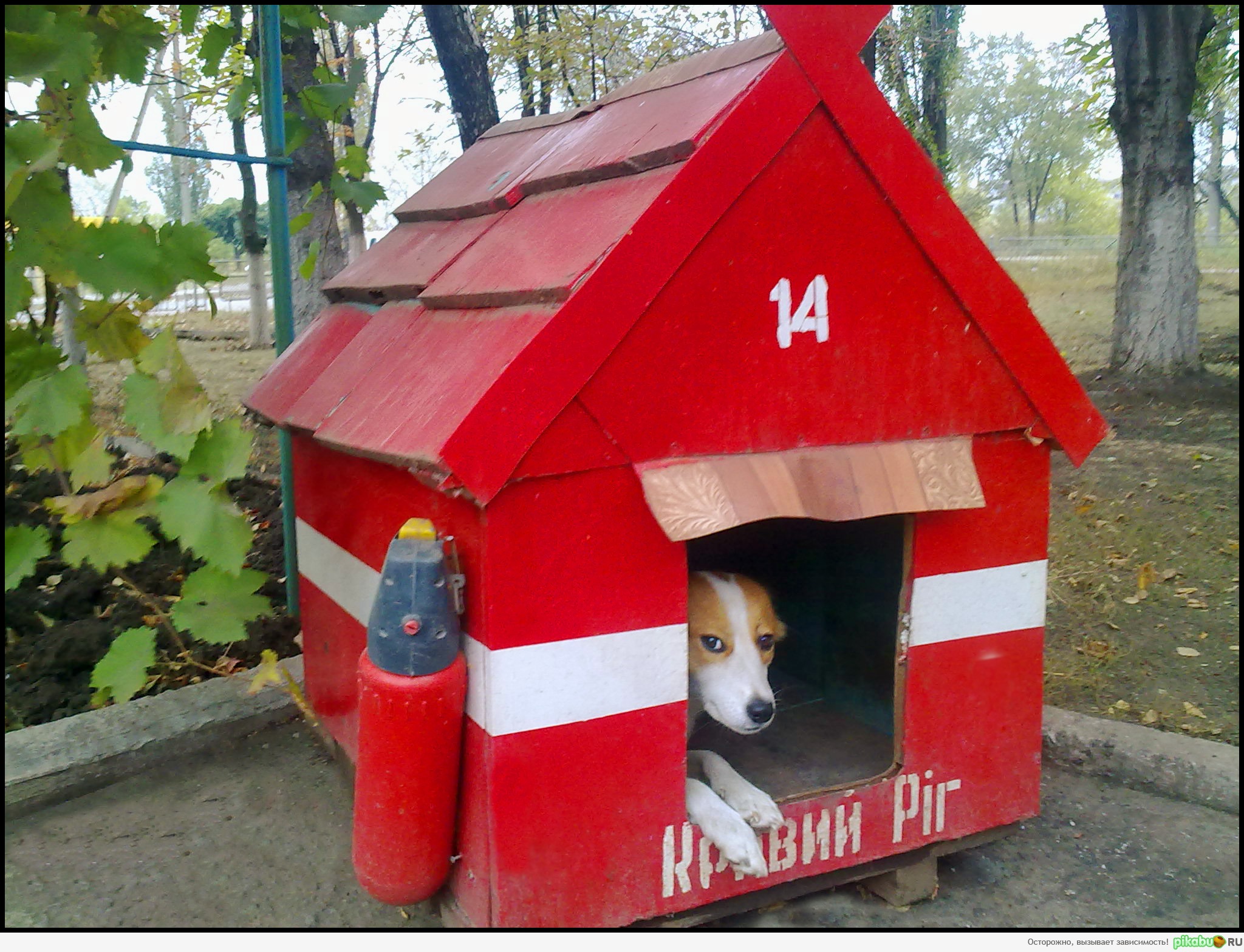 ������� ����� � �������� �����