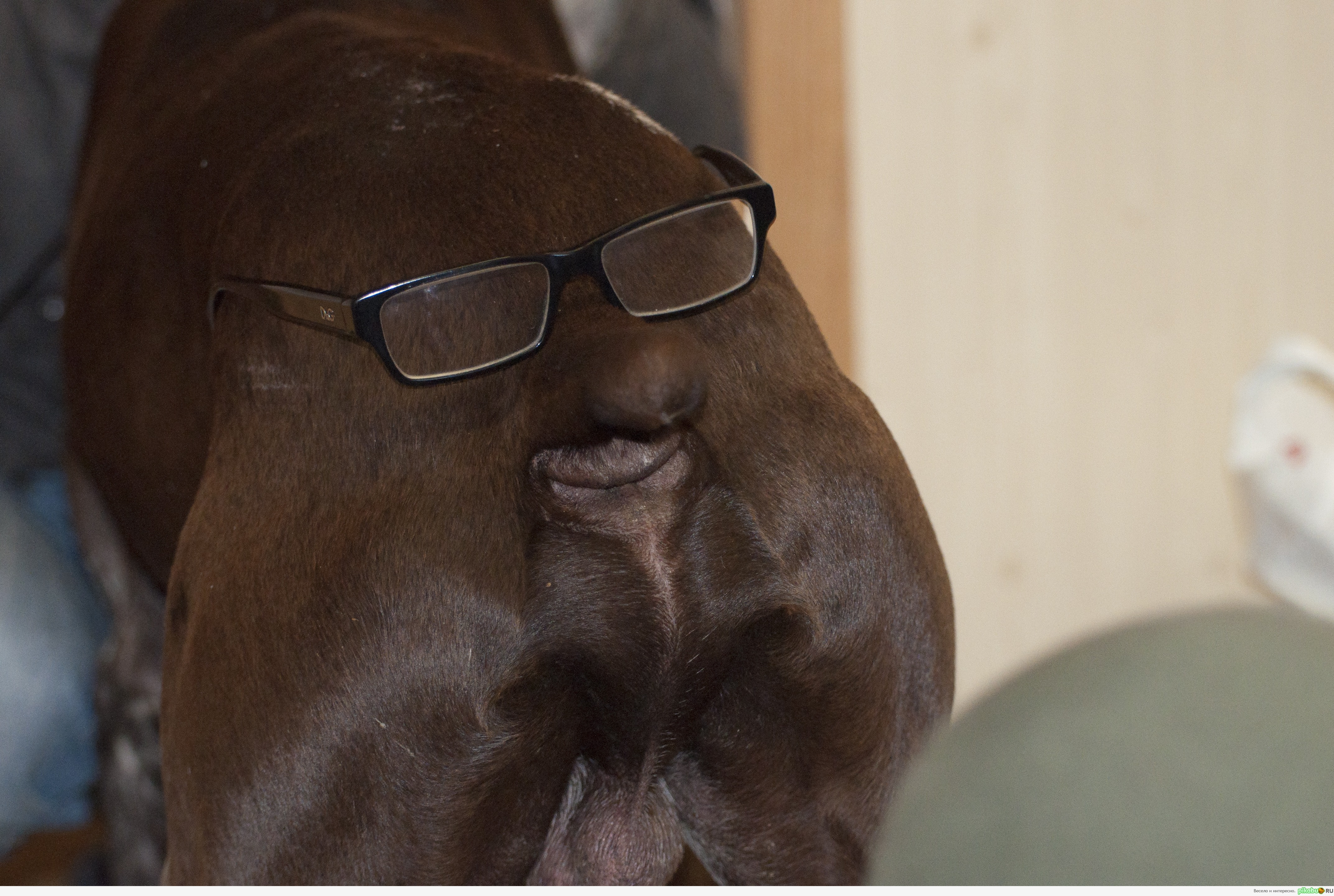 ������ �������