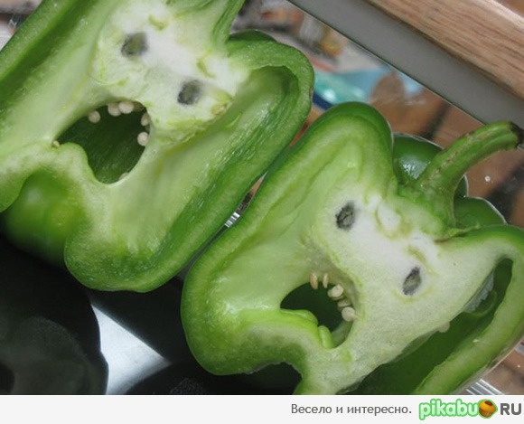 7 ��� ������, 1 ������)