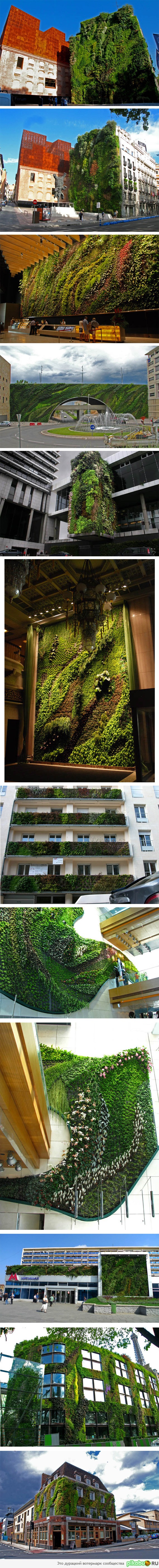 ������������ ���� ������� ������