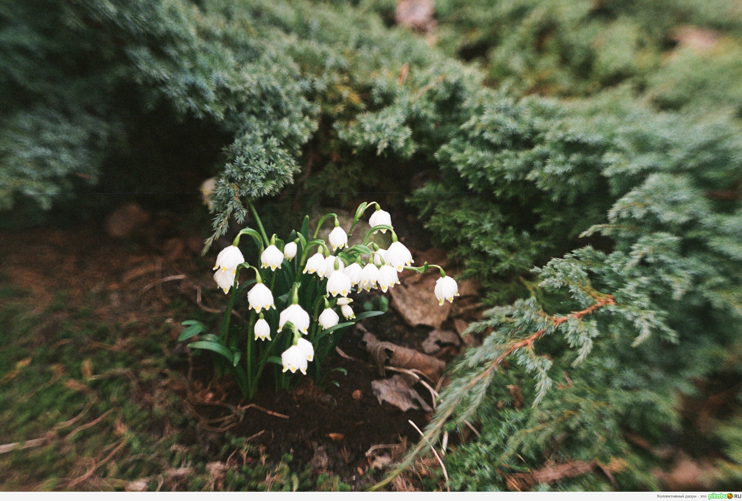 �����... �� � �� ��������� ���� ����.