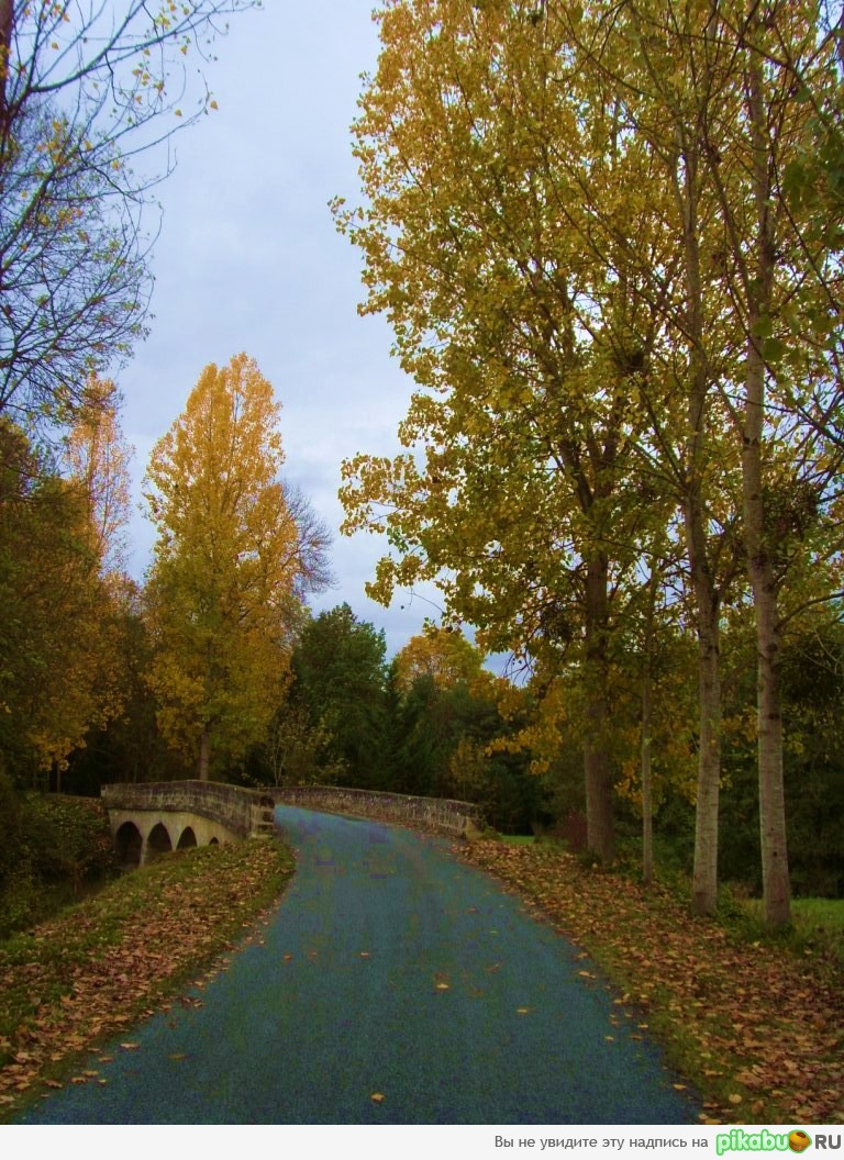 ������, ����... )))