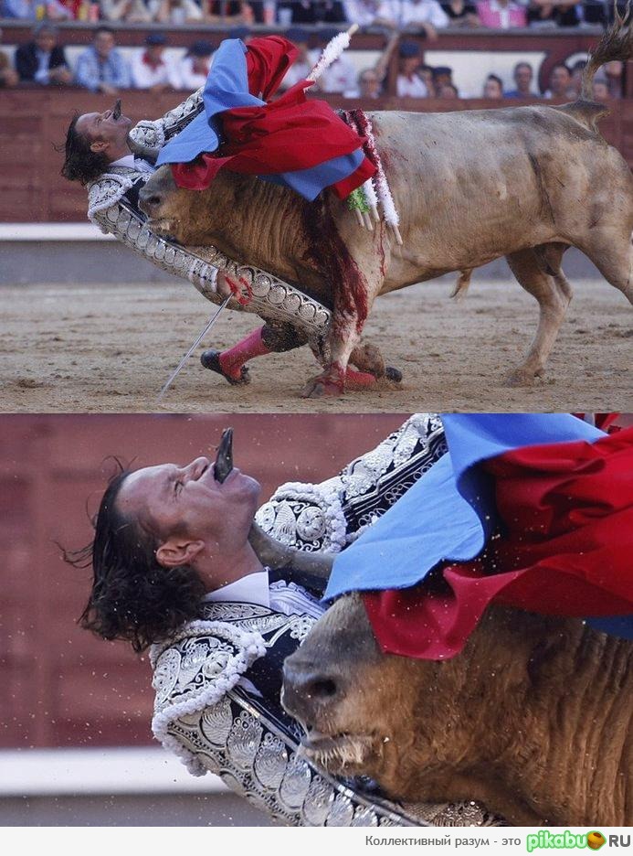  �� ����� "��� ��� �������" �����-2